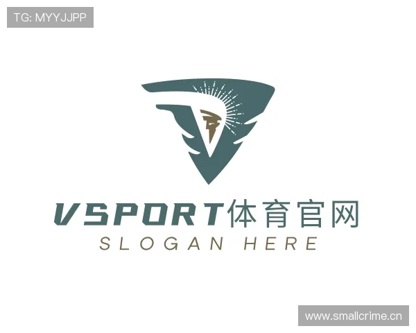 介绍VSPORTS胜利因您更精彩